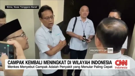 maxresdefaultCAMPAKKEMBALUMENINGKATDIWILAYAHINDONESIA0226